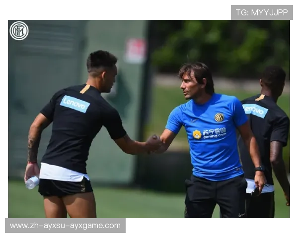 雨燕直播意甲球队：如何通过雨燕直播观看意甲球队的比赛